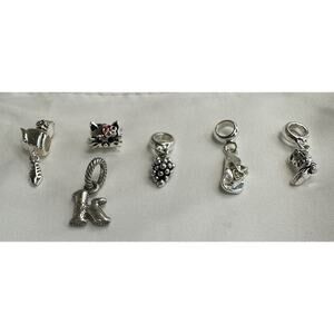 Silver Charms
